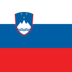 flag square 250 8 Главная